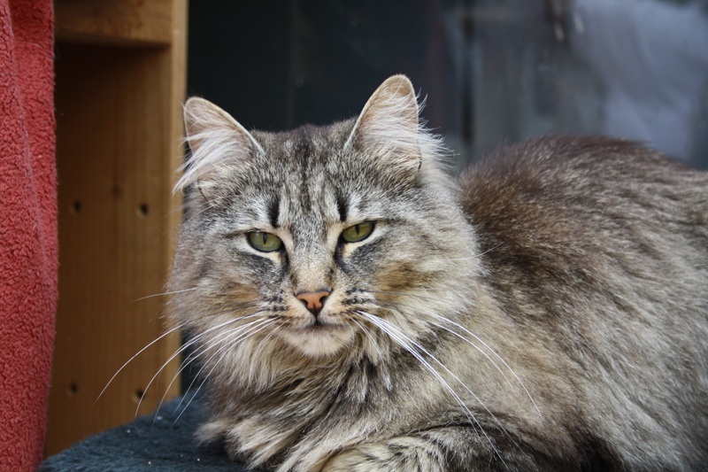 Ashunta_0610_IMG_0040_kl