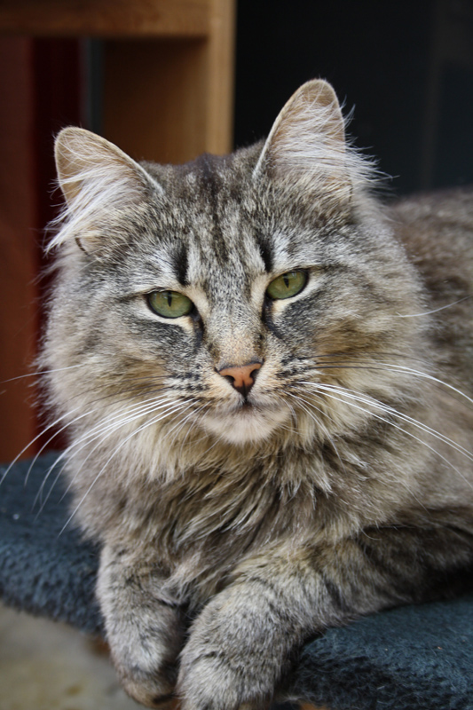 Ashunta_0610_IMG_0046_kl