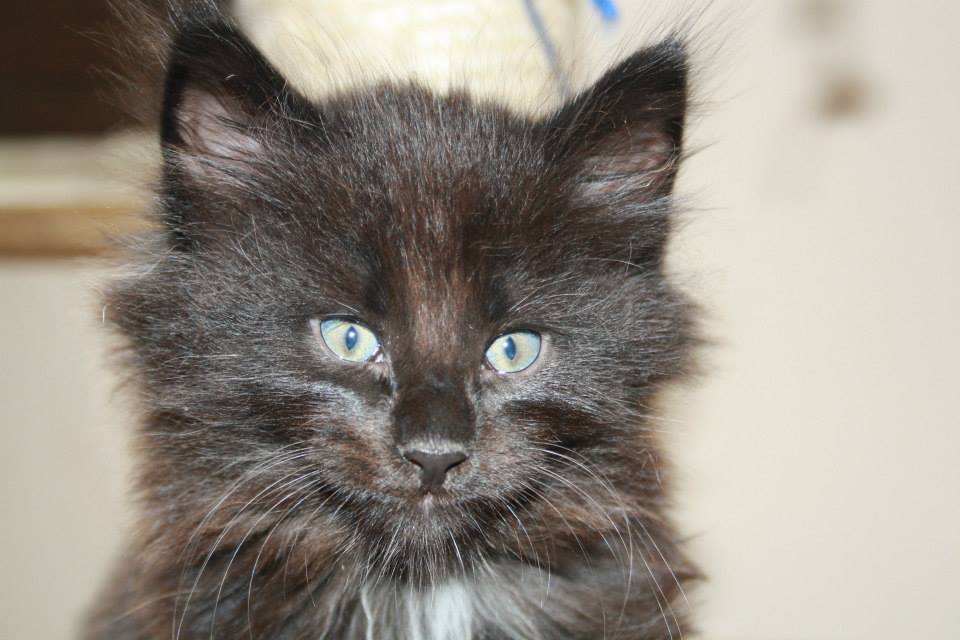 BlackVelvet_210613_5