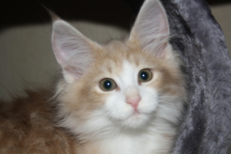 Charly_251011_IMG_2290