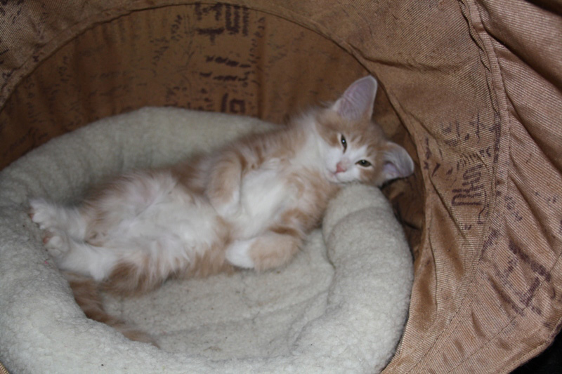 Charly_251011_IMG_2311