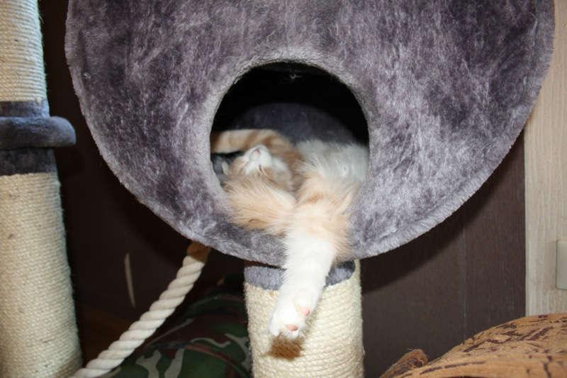 Charly_251011_IMG_2370