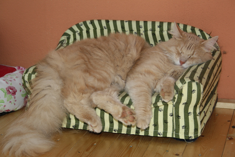 Cherokee_0610_IMG_0063_kl