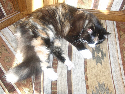 Cheyenne_0211_CIMG4129_web