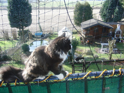 Cheyenne_0211_CIMG4132_web