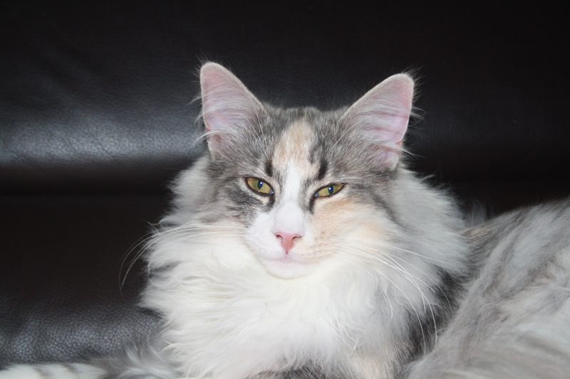 Cura_011010_IMG_0953_kl02