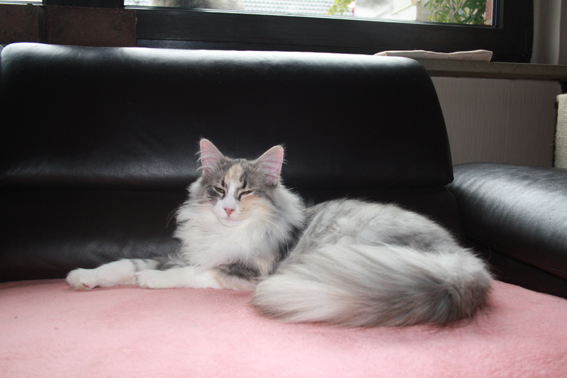 Cura_011010_IMG_0954_kl