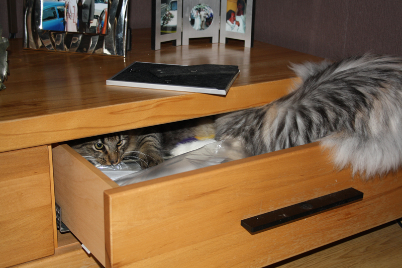 Cura_040211_IMG_1234_kl