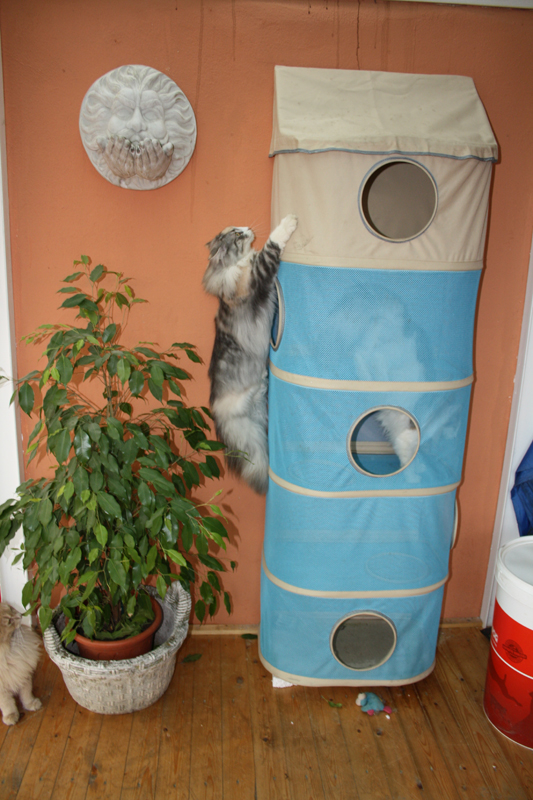 Cura_040211_IMG_1253_kl