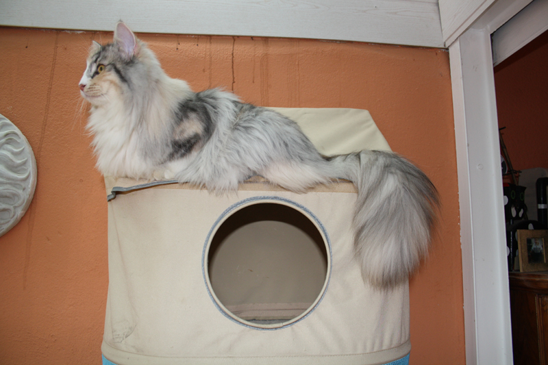 Cura_040211_IMG_1258_kl