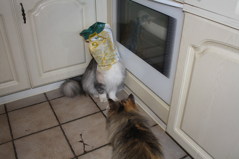 Cura_040211_IMG_1266_kl