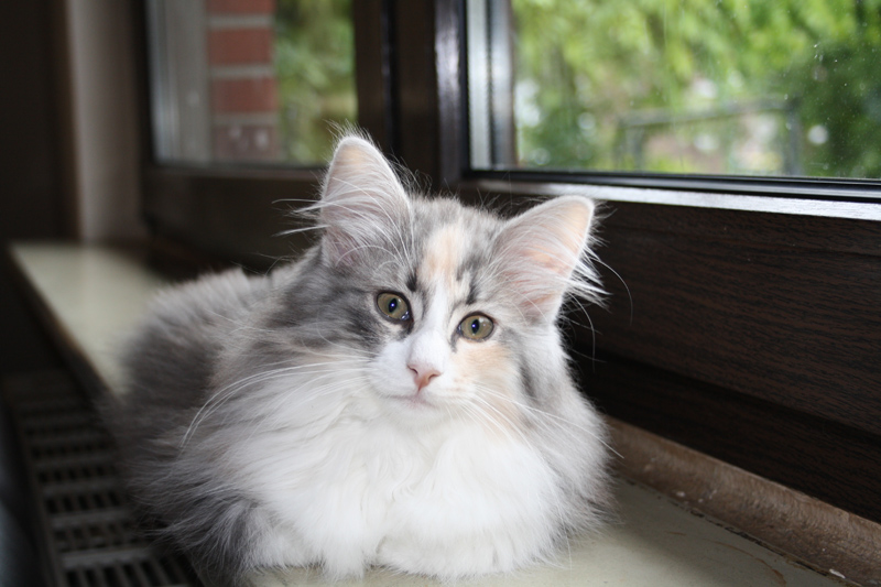 Cura_0610_IMG_0023_kl