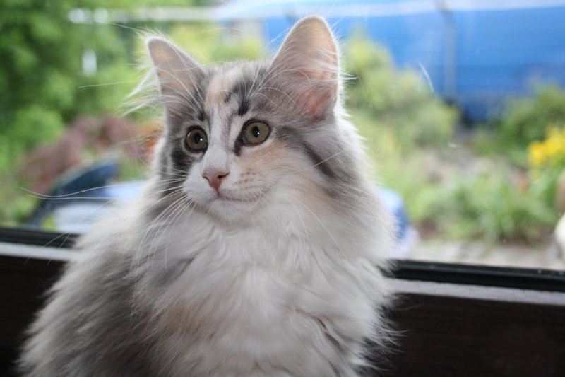 Cura_0610_IMG_0024_kl