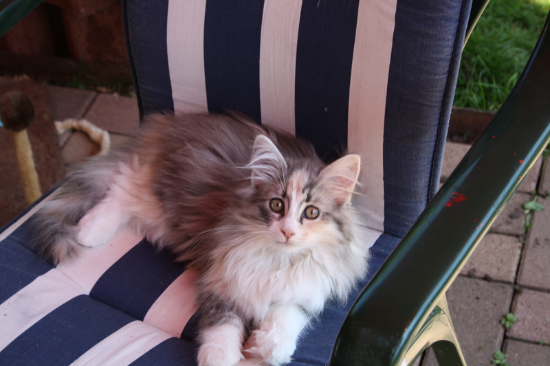 Cura_0610_IMG_0126_kl