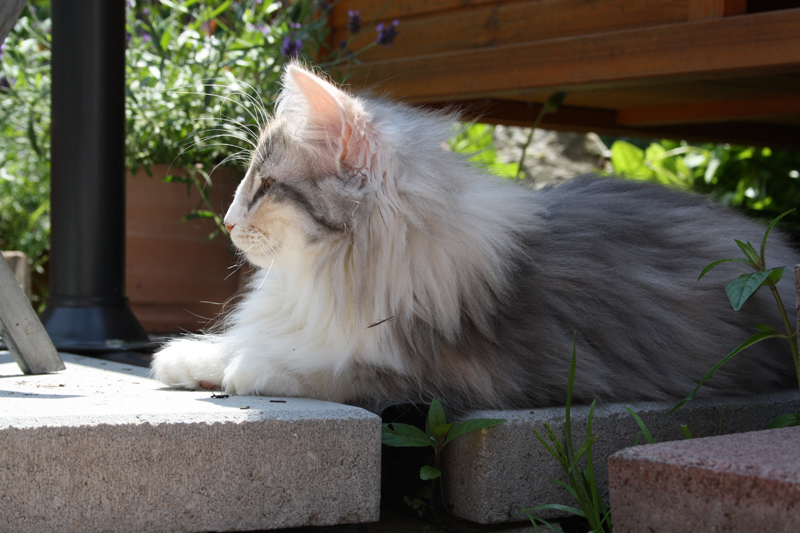 Cura_0610_IMG_0196_kl