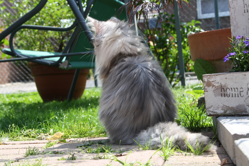 Cura_0610_IMG_0197_kl