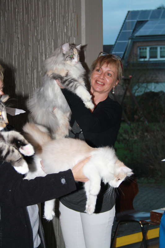 Cura_131210_IMG_1113_kl