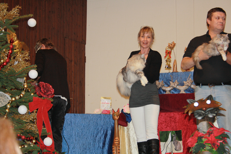 Cura_131210_IMG_1118_kl