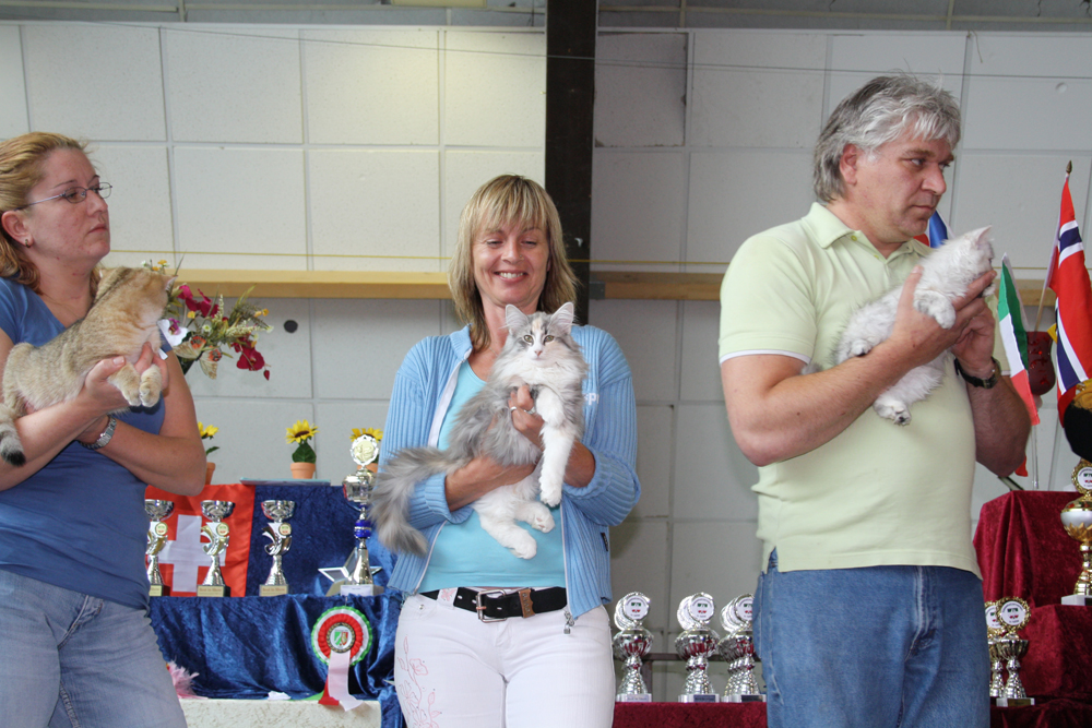 Cura_190610_IMG_0230_BIS_kl