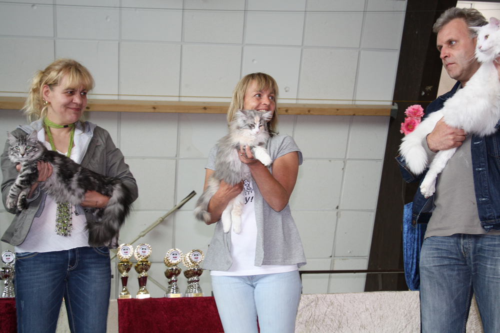 Cura_200610_IMG_0284_BOB_kl