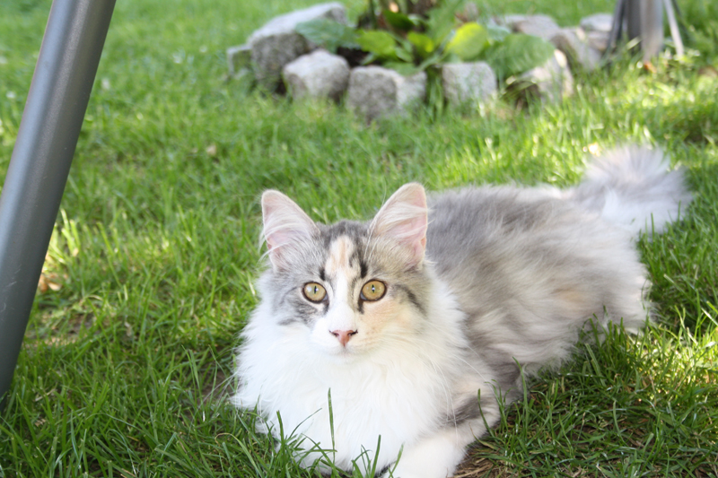 Cura_220810_IMG_0674_kl