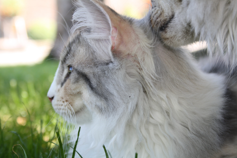 Cura_220810_IMG_0678_kl