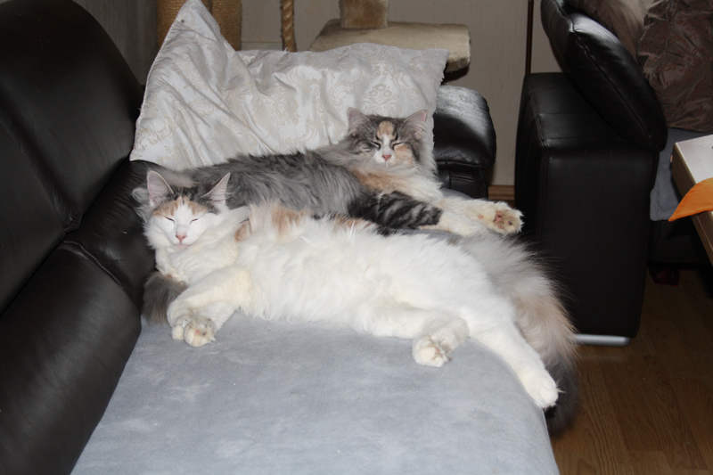 Cura_250111_IMG_1166_kl