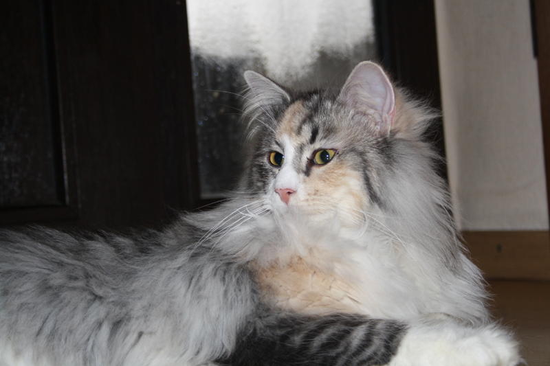 Cura_250111_IMG_1173_kl