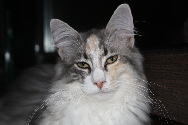 Cura_260710_IMG_0459_kl