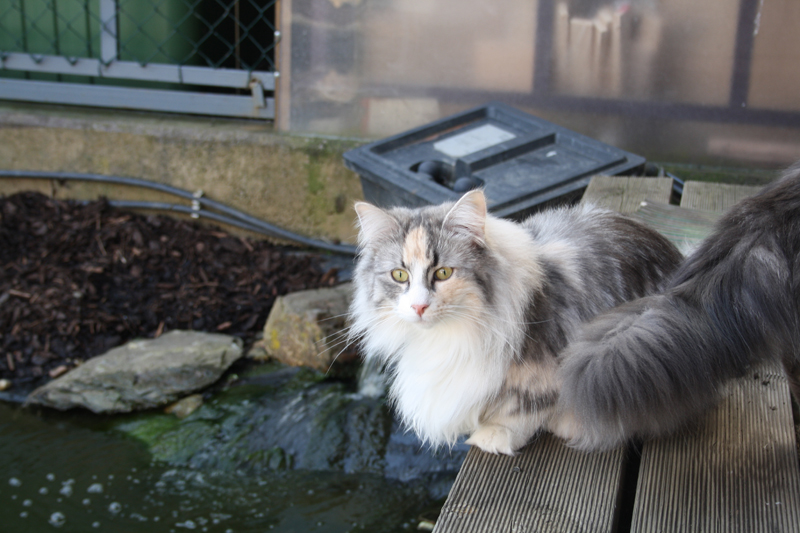 Cura_280311_IMG_1382_kl