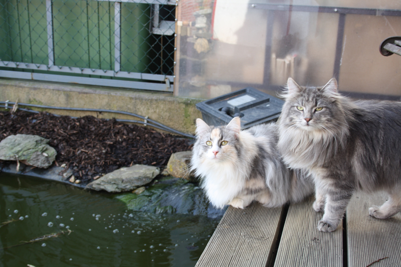 Cura_280311_IMG_1383_kl