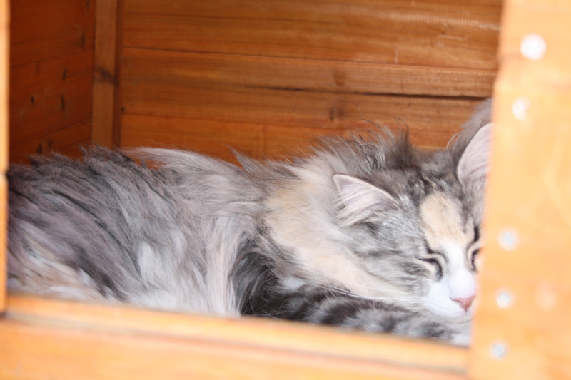 Cura_280311_IMG_1447_kl