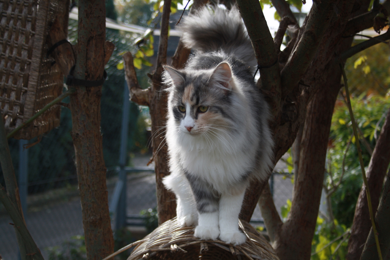 Cura_281010_IMG_1024_kl