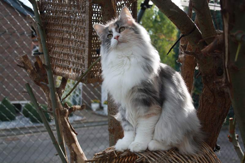 Cura_281010_IMG_1029_kl