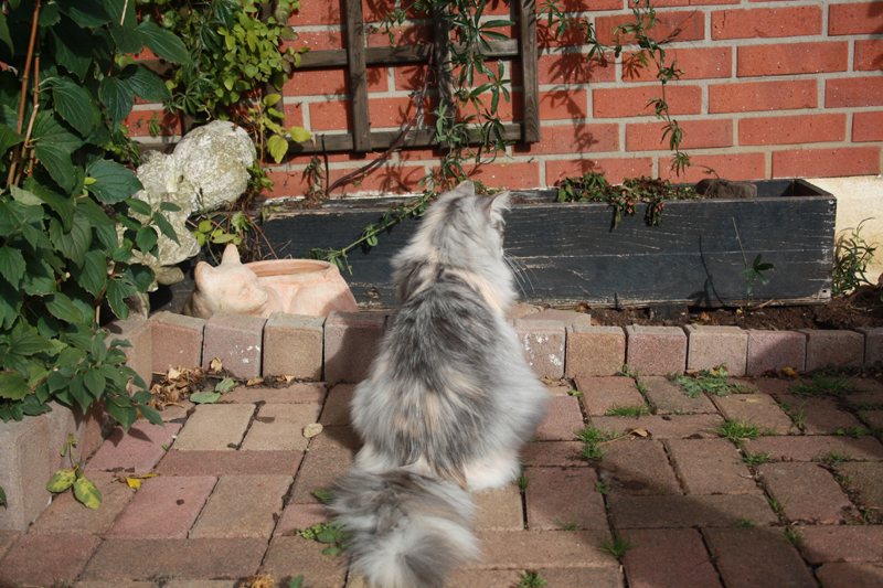 Cura_281010_IMG_1035_kl