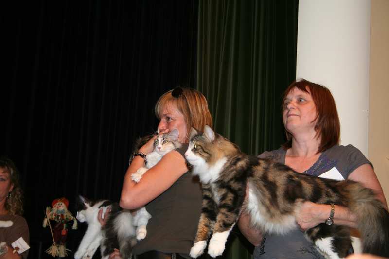 Cura_elsdorf  05.9.10 554_kl