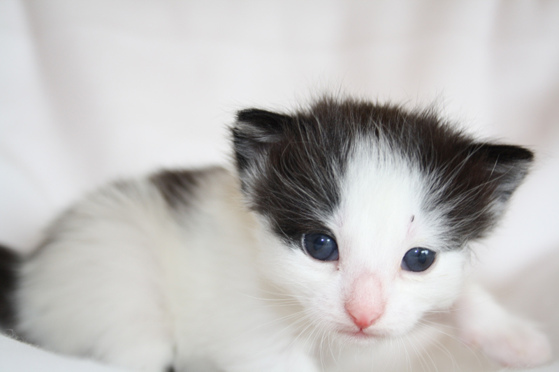 Daiquiri_040512_IMG_2745_kl