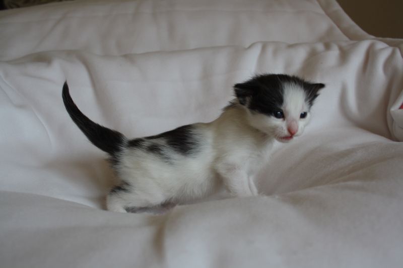 Daiquiri_040512_IMG_2746_kl