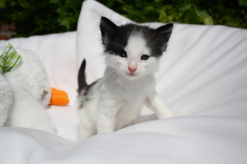 Daiquiri_140512_IMG_2832_kl