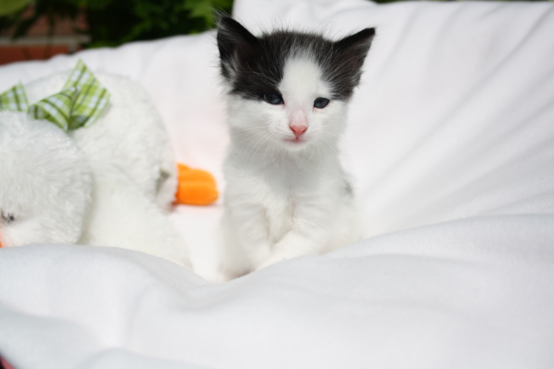 Daiquiri_140512_IMG_2834_kl