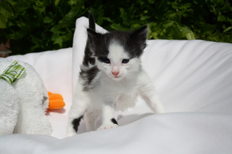 Daiquiri_140512_IMG_2835_kl