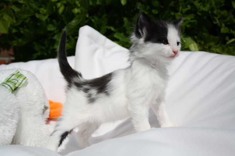 Daiquiri_140512_IMG_2837_kl