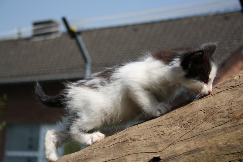 Daiquiri_220512_IMG_2977_kl