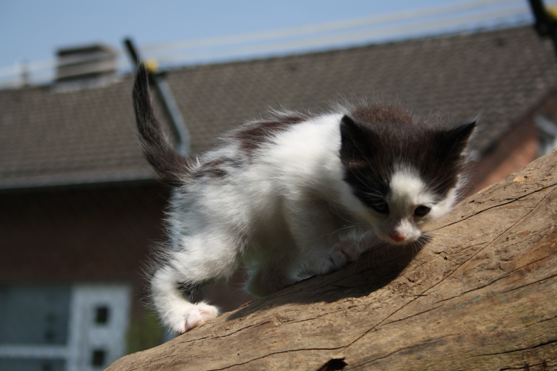 Daiquiri_220512_IMG_2979_kl