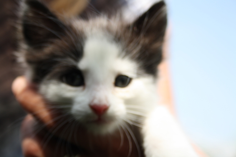 Daiquiri_220512_IMG_2981_kl