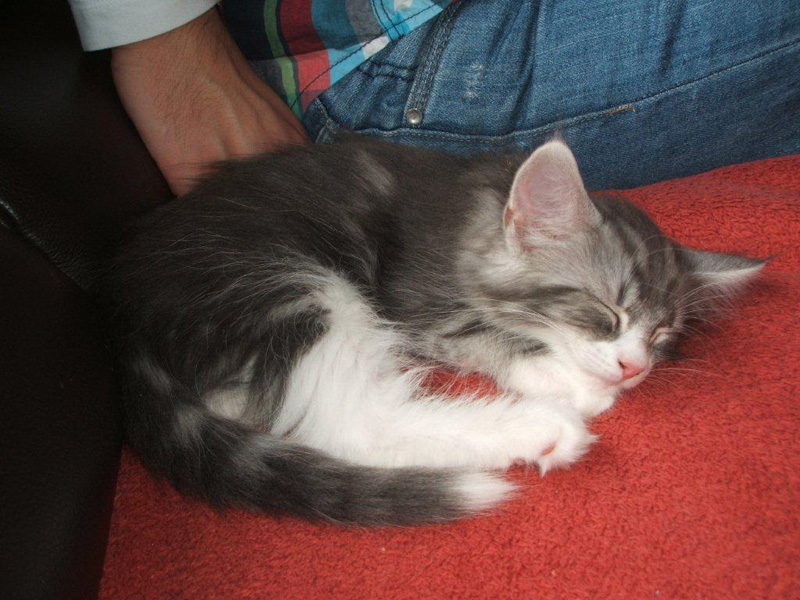 Diamond_031011_DSCF1600_kl