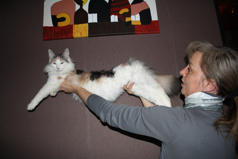 Donna_040211_IMG_1224_kl