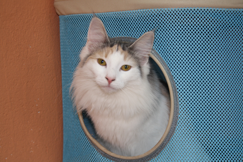 Donna_040211_IMG_1251_kl