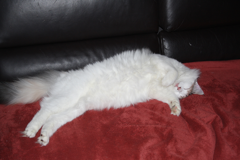 Donna_200111_IMG_1155_kl