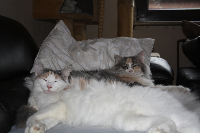 Donna_250111_IMG_1164_kl